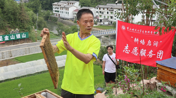 蜂农展示蜂箱内部结构。2026年国际足联世界杯供图
